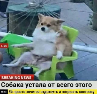 Sticker Записки Алчности - 8