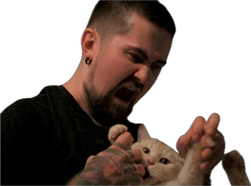 Стикер AveKira - 1