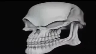 Sticker Какой-то кал - 7