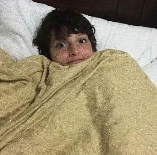 Sticker фин любимый • @sticbot - 0