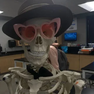 Стикер Черепа - 11