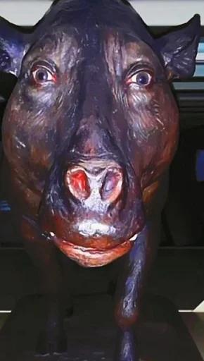 animal mammal sculpture