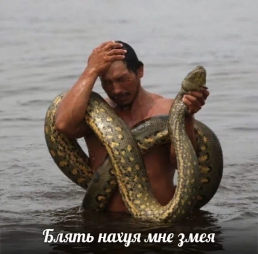 животное млекопитающее змея