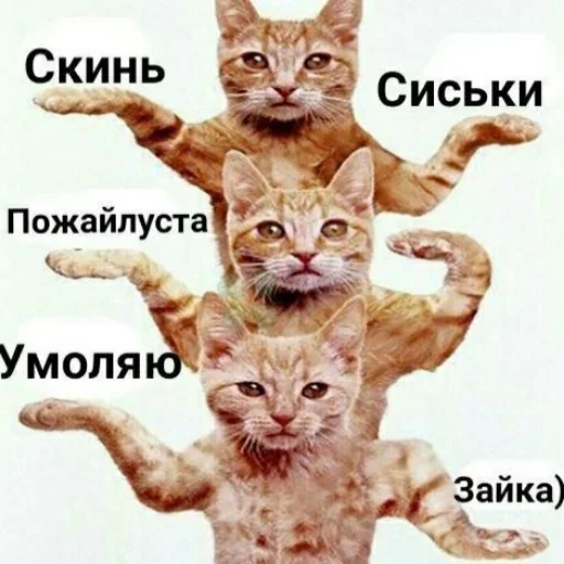 Sticker AwowerBeta - 1