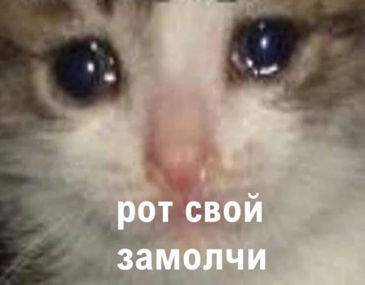 Sticker AwowerBeta - 1