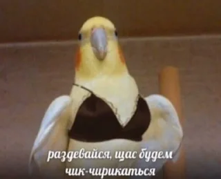 Стикер Awower✓[Beta] - 1