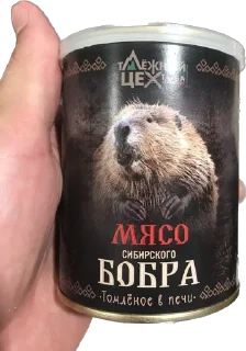 Sticker Xaxaxaxa - 3