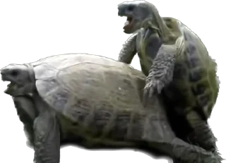 Sticker Xaxaxaxa - 6