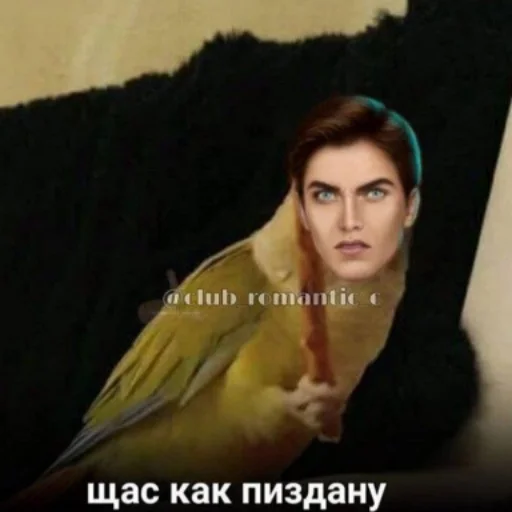 Стикер Ну КР и шо ? - 8