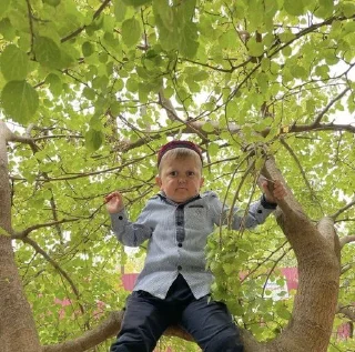 Стикер хасбулла • @sticbot - 5