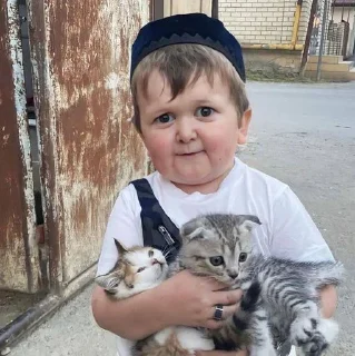 Стикер хасбулла • @sticbot - 7