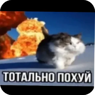 Стикер Axolotol sticker pack - 11