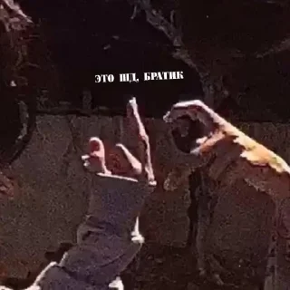 Стикер Избранные - 4