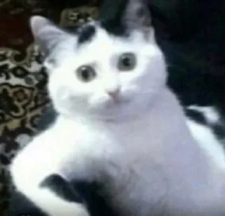 Стикер Избранные - 1