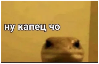 Стикер Избранные - 11