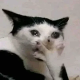 Стикер Избранные - 9