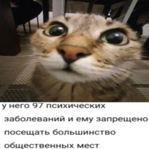 Sticker Ayatatyat - 1