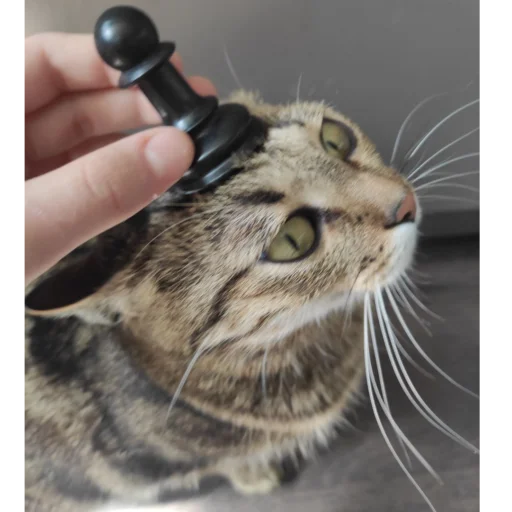 Sticker Ayatatyat - 1