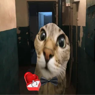 Стикер Фан клуб Атяты, Аята, Олега и кошевки Микасы дурочки - 6