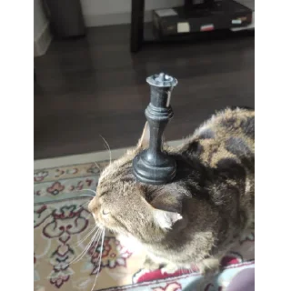 Стикер Фан клуб Атяты, Аята, Олега и кошевки Микасы дурочки - 9