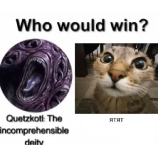 Стикер Фан клуб Атяты, Аята, Олега и кошевки Микасы дурочки - 11