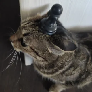 Стикер Фан клуб Атяты, Аята, Олега и кошевки Микасы дурочки - 10