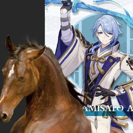 animal mare stallion