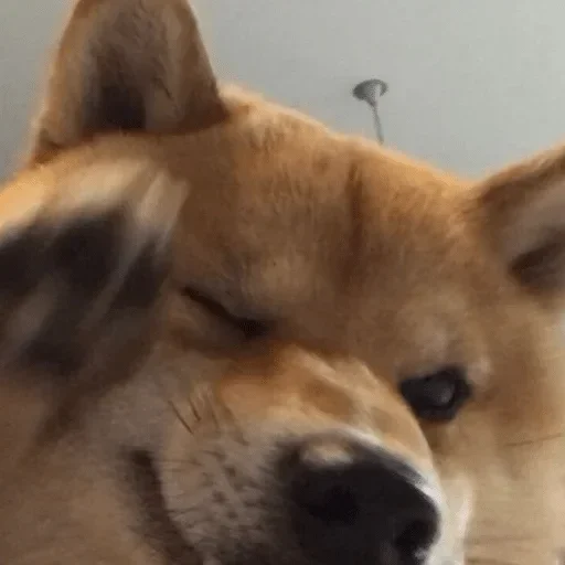 Стикер /b/ - 7