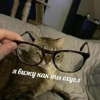 Sticker @stiki_tg_nah_canal - 3