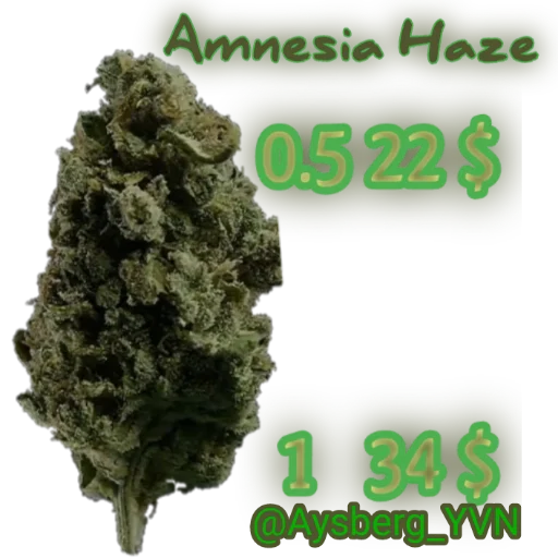 Sticker Aysberg_YVN - 1