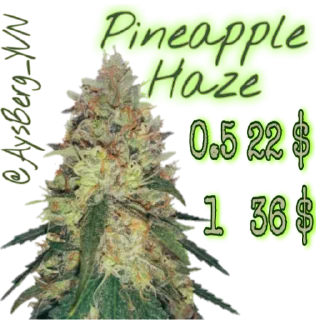 Sticker Aysberg_YVN - 11