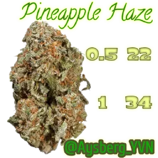 Sticker Aysberg_YVN - 1