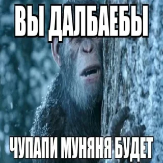 Sticker Больше стикеров: @sticerru - 6