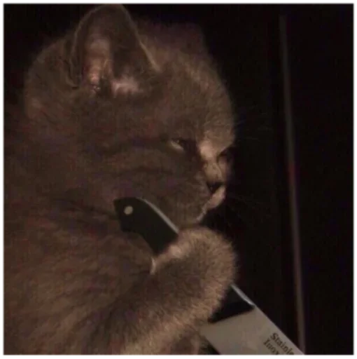 Sticker χξϛ by @fStikBot - 9