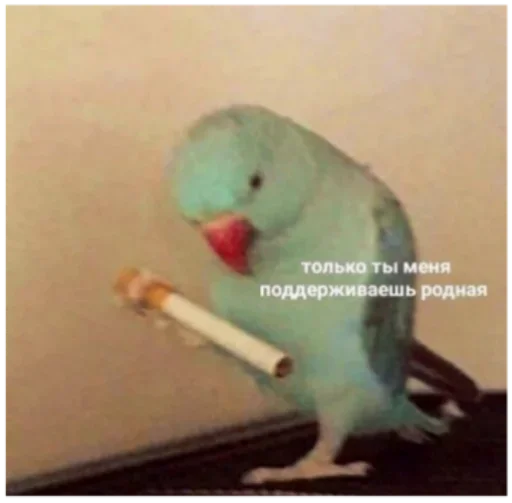 Sticker χξϛ by @fStikBot - 7