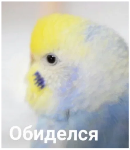 Sticker χξϛ by @fStikBot - 4