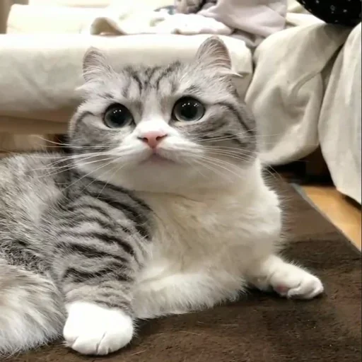 Sticker χξϛ by @fStikBot - 2