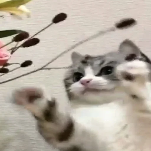 Sticker χξϛ by @fStikBot - 0