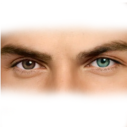 eyes eyelash eyebrow