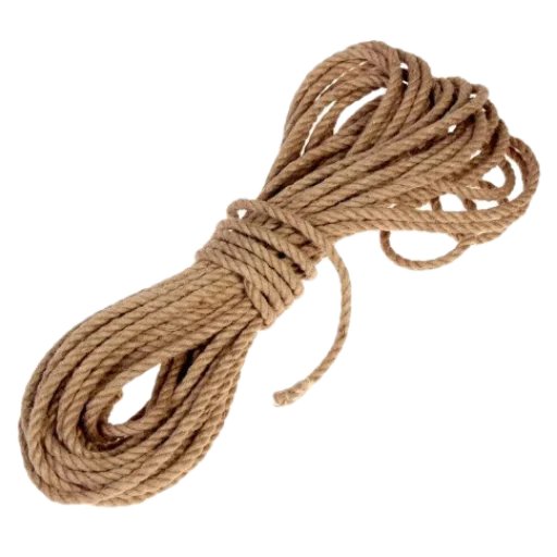 art invertebrate animal