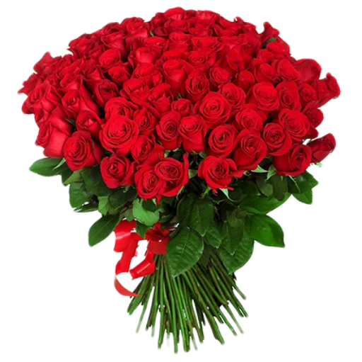 plant petal floristry