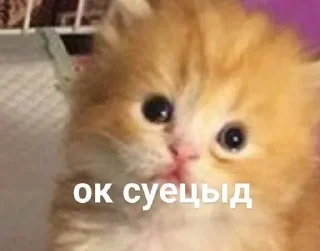 Sticker Больше стиков тут: @stikery4 - 8