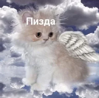 Sticker Больше стиков тут: @stikery4 - 3