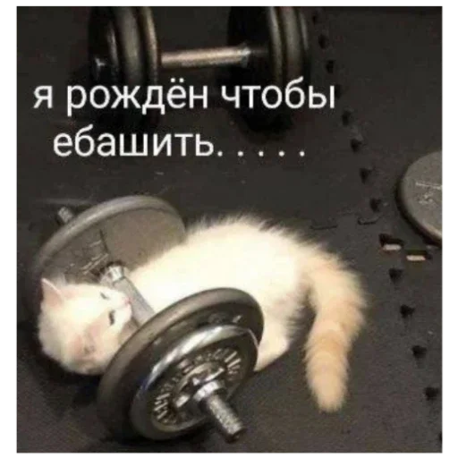 Стикер BANGLADESH50 - 1