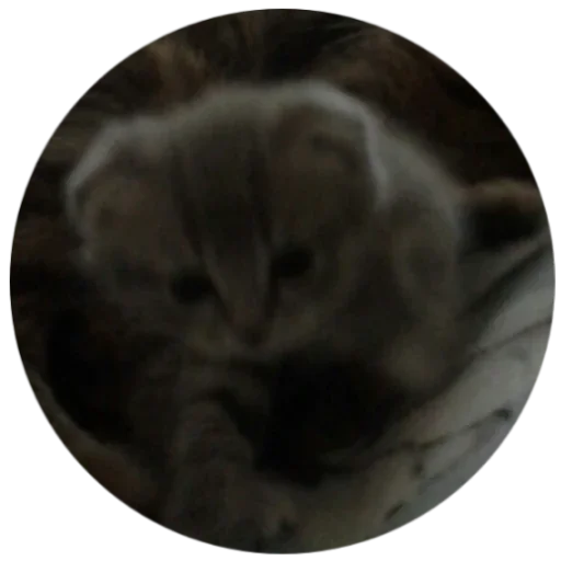 Sticker BANGLADESH50 - 1