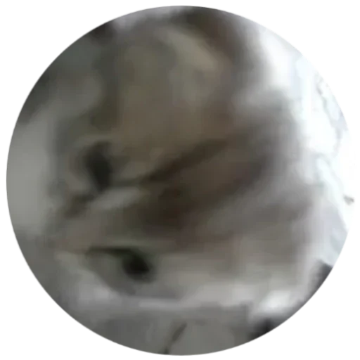 Sticker BANGLADESH50 - 1