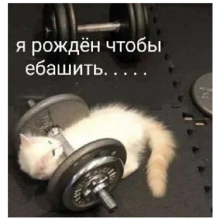 Стикер БАНГЛАДЕШ - 5