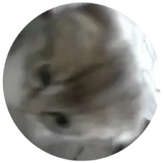 Стикер БАНГЛАДЕШ - 0