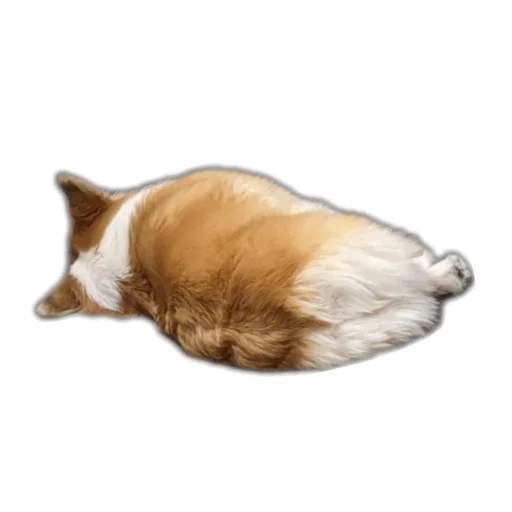 Sticker BARABULKA78 - 1