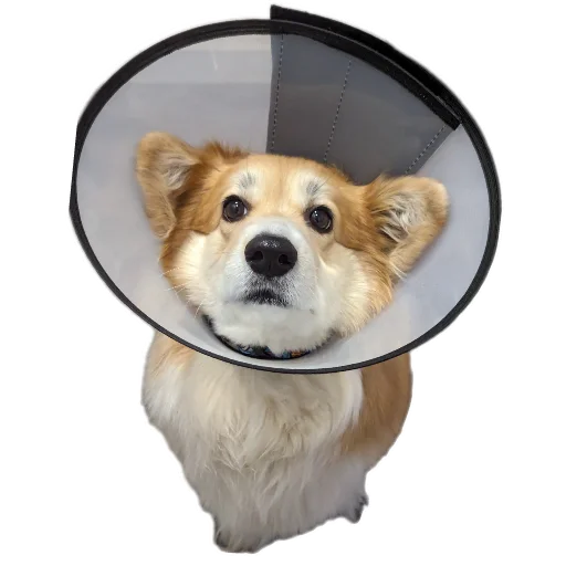 Sticker BARABULKA78 - 1